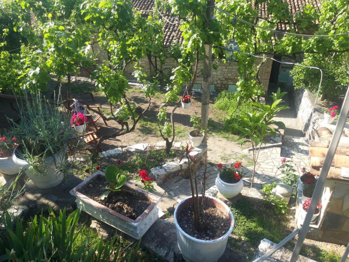 Guesthouse & Hostel Lorenc Berat Bagian luar foto