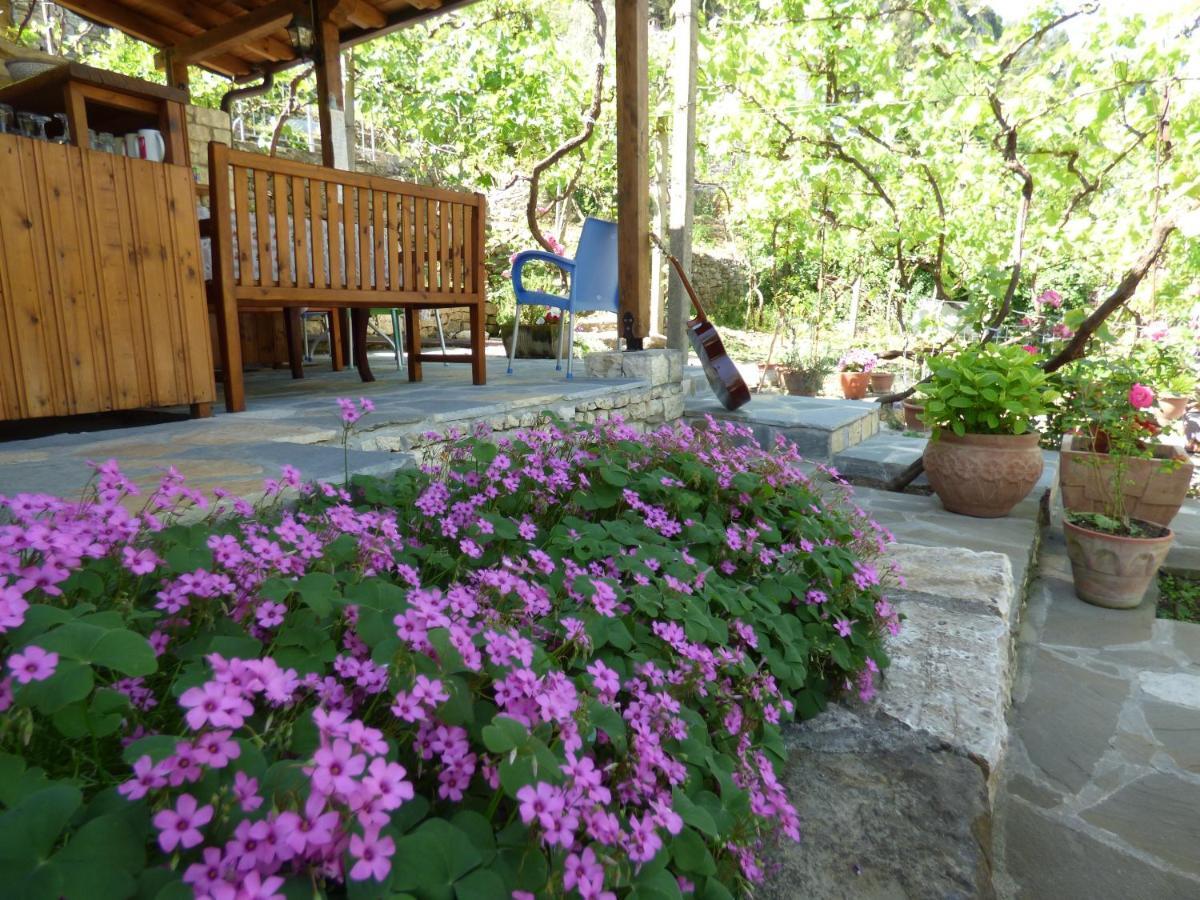 Guesthouse & Hostel Lorenc Berat Bagian luar foto